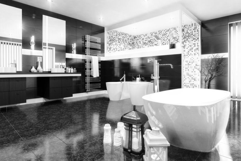 spacious elegant looking black themed bathroom